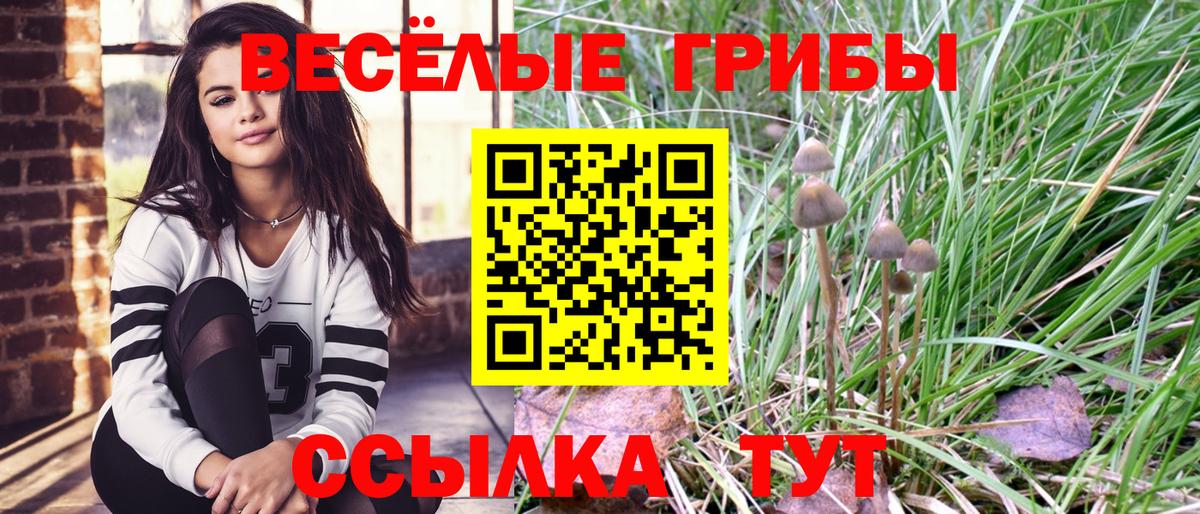 Псилоцибиновые грибы GOLDEN TEACHER  Галлюциногенные грибы Psilocybe  Владивосток  Вход с VPN 