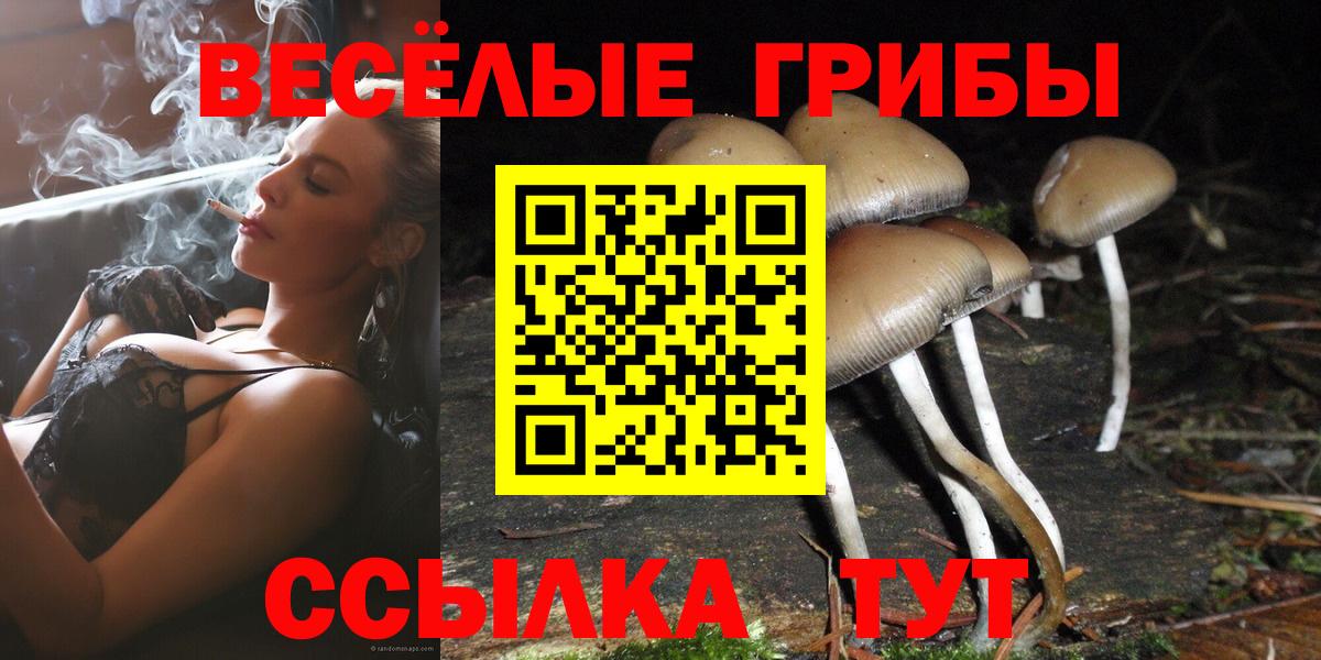 Галлюциногенные грибы GOLDEN TEACHER Владивосток